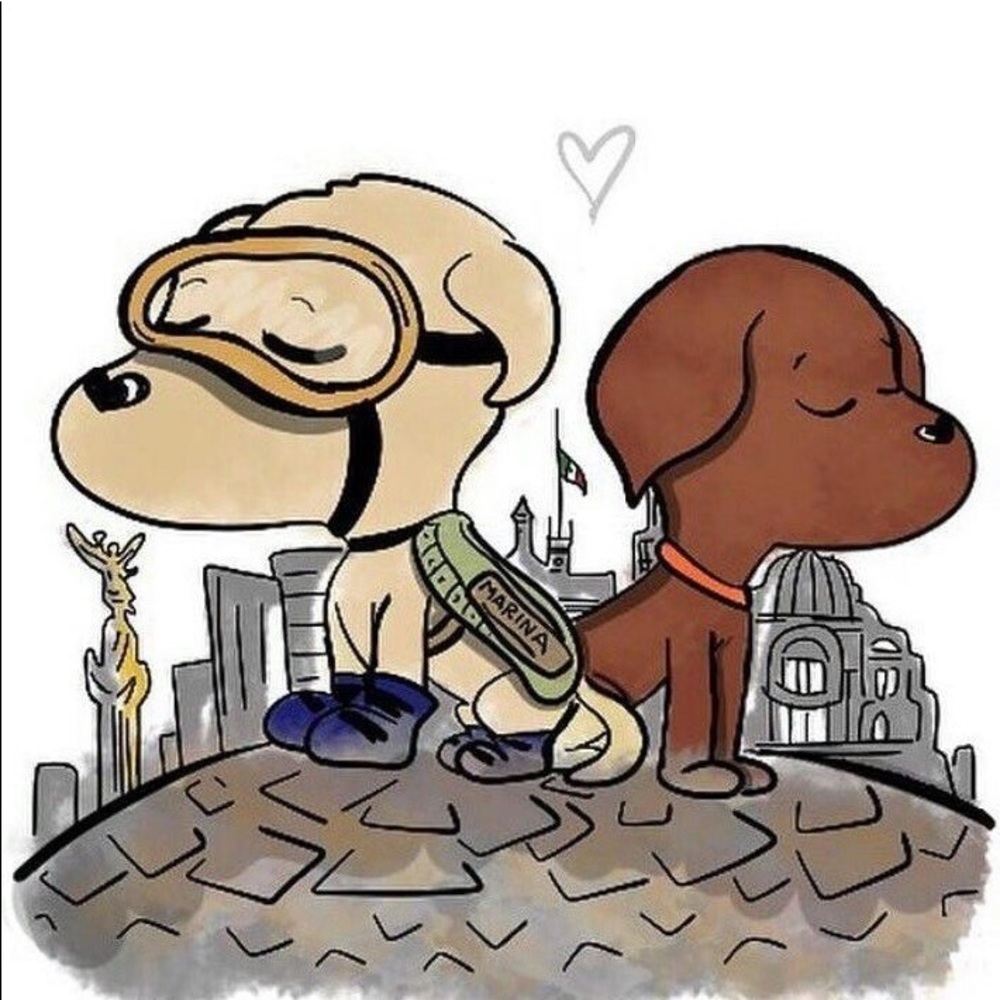 Meet your Posher, Viry